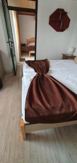 Hotel Dynes - Eforie Nord - 9