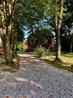 Idyllisches Reetdachhaus zwischen Nord&Ostsee - stilvolle FeWo im Kulturdenkmal - Weesby - 9