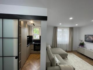 APARTAMENT ULTRACENTRAL PREMIUM,PARCARE,WiFi - Sângeorz-Băi - 1
