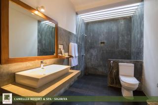 Camellia Resort Spa-Sigiriya - Avudangawa - 1
