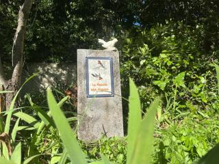 La maison aux oiseaux - Oppède - 3