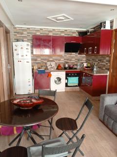APPARTEMENT à MALAGA BEACH - Pont Blondin - 7