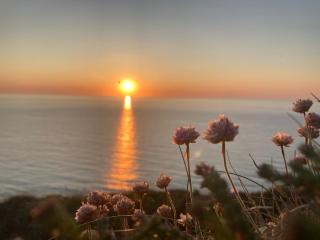 Baiyun Surf Retreat - Redruth - 4