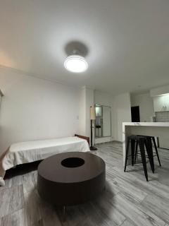 Lima suites departamento a 200 mts del obelisco y cerca de Av De Mayo - Buenos Aires - 3