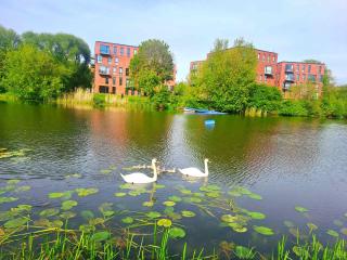 Park Lake New building - Klaipėda - 8