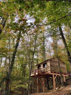 Cabanyes entre Valls - 0