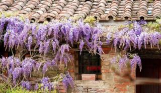 TENUTA SOSPESA - Exclusive Villa, Pool & Party Barn near Tuscany - Pietrafitta - 4