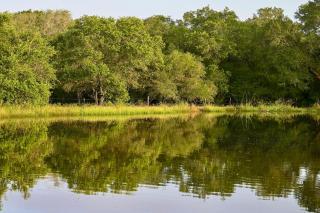 Cool Mornings, Crackling Fires, Monster Catfish!! - 4