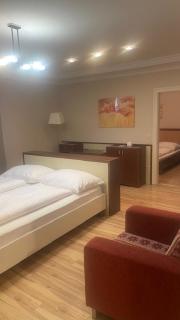 Dabas Hotel - Dabas - 9