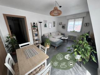 Comme chez soi- Central - Cosy - Colmar - 0