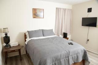 The Newly Renovated Vintage Home - Jackson - 8