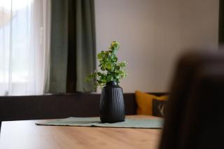 Pienz Apart - Oetz - 8