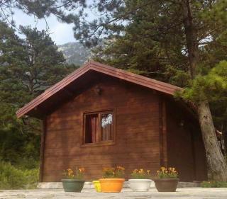 Wood Cabin Llogara - Vlora - 5