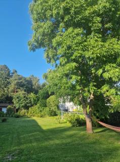 Pearl of Pori - Pori - 2