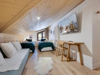 Appartement neuf rooftop, Sud, proche pistes, cheminée, wifi - FR-1-690-21 - Montvalezan - 2
