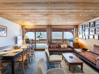 Duplex 3 chambres avec cheminée et terrasse plein sud, proche des pistes et commerces - FR-1-566-59 - Les Allues - 0
