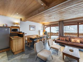 Duplex 3 chambres avec cheminée et terrasse plein sud, proche des pistes et commerces - FR-1-566-59 - Les Allues - 2