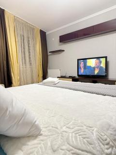 Valea Rose Apartment - Chişinău - 1
