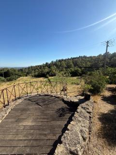 L'Oustal - Azillanet - 6