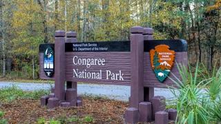 Comfy Home in a Great Location! - Columbia - 9