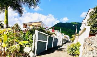 Lavender - Le Morne - 4