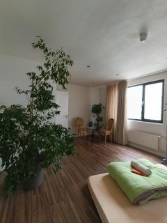 Doppelzimmer Basel City - Basilea - 8