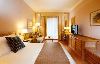 hotel chandan - New Delhi - 3