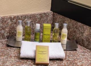 DoubleTree by Hilton Orlando Theme Park Resort - 1