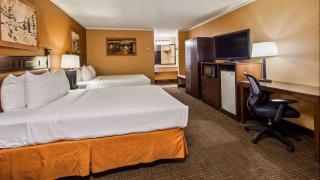 Hotel The Dark - New Delhi - 2