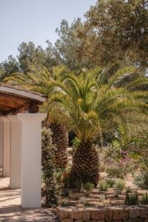 Newly renovated 4BR Ibiza Finca - - 5