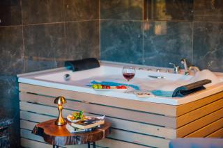 antik river house - 3