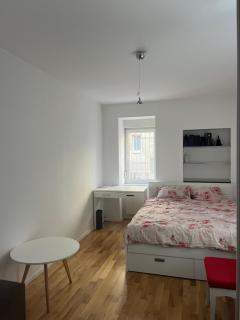 Modern apartment in city center of Sarajevo - Sarajevo - 5