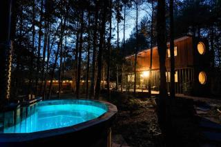 Evergreen cabin, Unique shipping container home in private woods - Chiddingly - 0