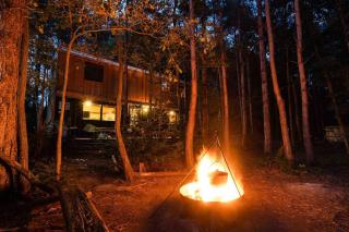 Evergreen cabin, Unique shipping container home in private woods - Chiddingly - 8