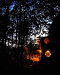 Evergreen cabin, Unique shipping container home in private woods - Chiddingly - 6