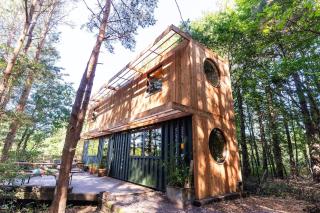 Evergreen cabin, Unique shipping container home in private woods - Chiddingly - 5