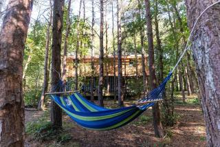 Evergreen cabin, Unique shipping container home in private woods - Chiddingly - 3