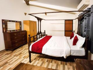 The Plix Villa - Anjuna - 8