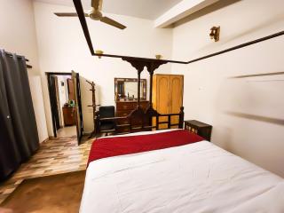 The Plix Villa - Anjuna - 7