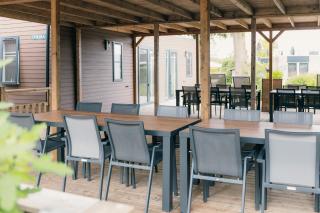 Groepsvakantie op de Veluwe – 4 losse lodges voor 24 personen op Vakantiepark De Boshoek - Voorthuizen - 6