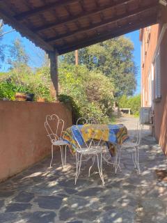 Appartement T2 Alistro San Giuliano Corse - San-Giuliano - 0