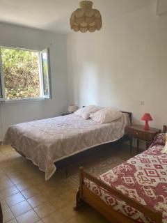 Appartement T2 Alistro San Giuliano Corse - San-Giuliano - 7