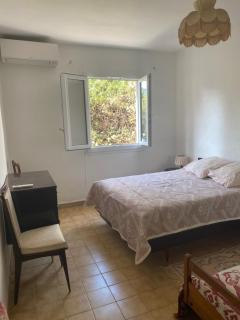 Appartement T2 Alistro San Giuliano Corse - San-Giuliano - 2