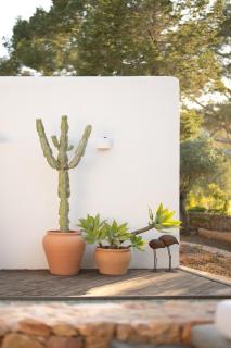 Newly renovated 4BR Ibiza Finca - - 3
