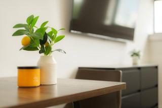 Above The Roots - Elegant and Bright Studio Stay - 0