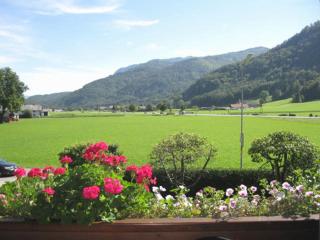 Apartment am Wolfgangsee - Strobl - 3