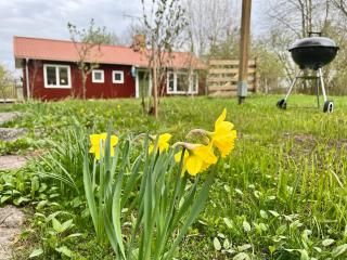 Lidhem herrgård. Bed & Breakfast och mindre lägenheter - Vimmerby - 9