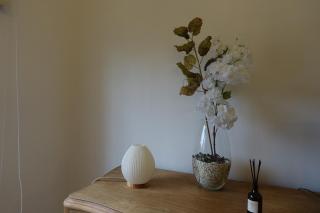 Alice's Home - La Lonja - 2