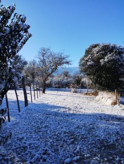 Cabañas Paraje Noviembre - Nono - 6