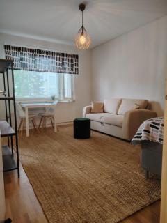 Studio in Joensuu - Joensuu - 9